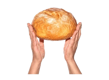 Hands with bread