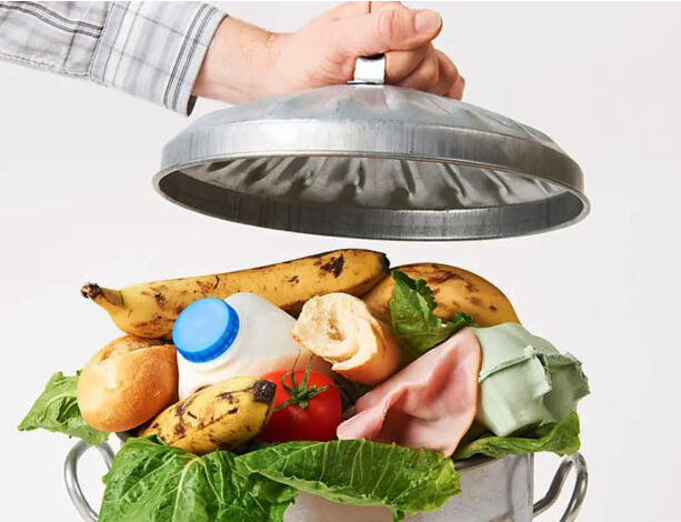 Le scandale silencieux du gaspillage alimentaire